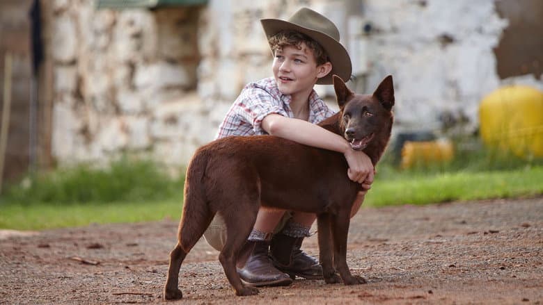 Red Dog still