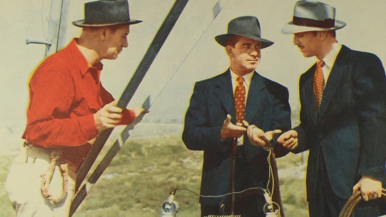 Radar Patrol vs. Spy King still