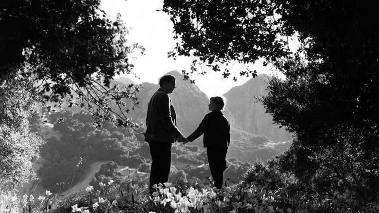 How Green Was My Valley still