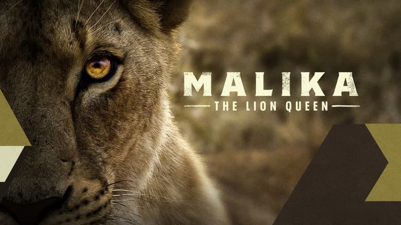 Malika the Lion Queen still