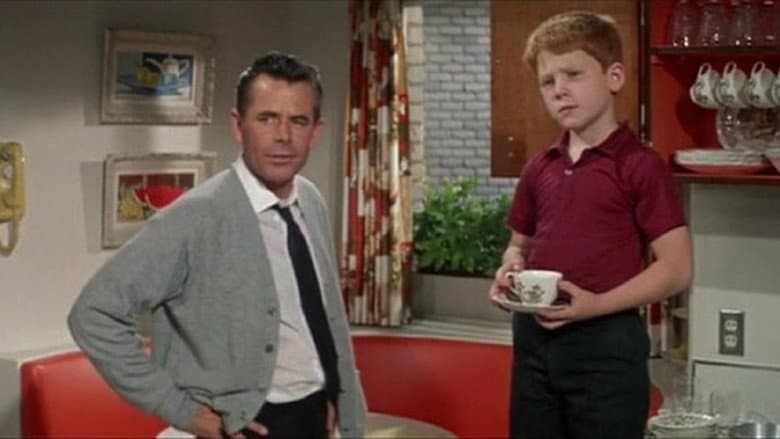 The Courtship of Eddie's Father still