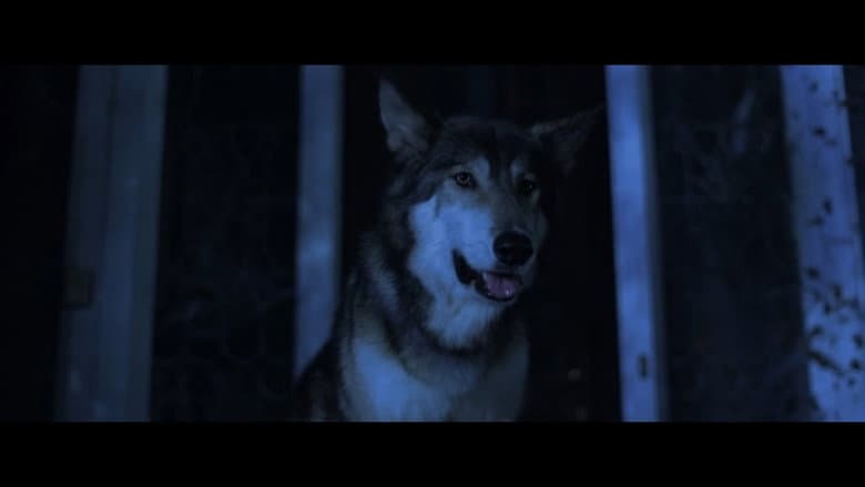 Lycan still