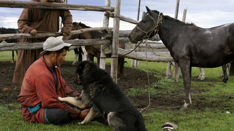 The Bounty Hunter of Mongolia still