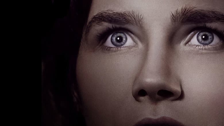 Amanda Knox still