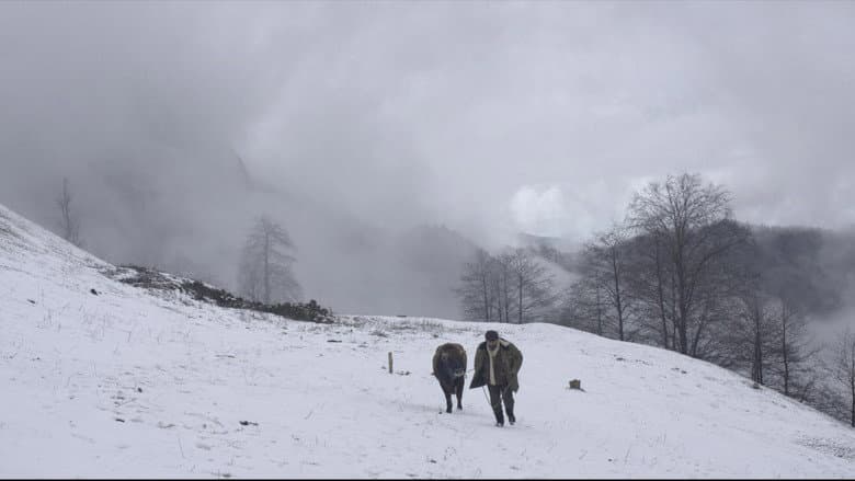Cold of Kalandar still