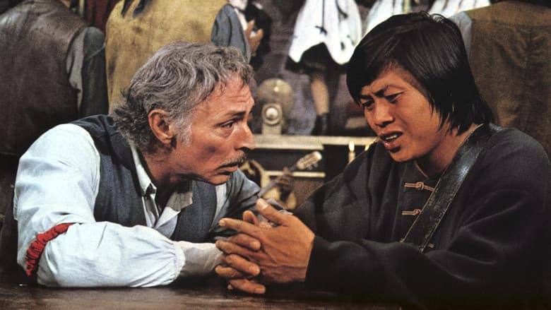 The Stranger and the Gunfighter still