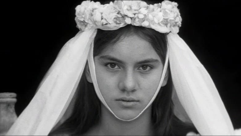 The Valley of the Bees still