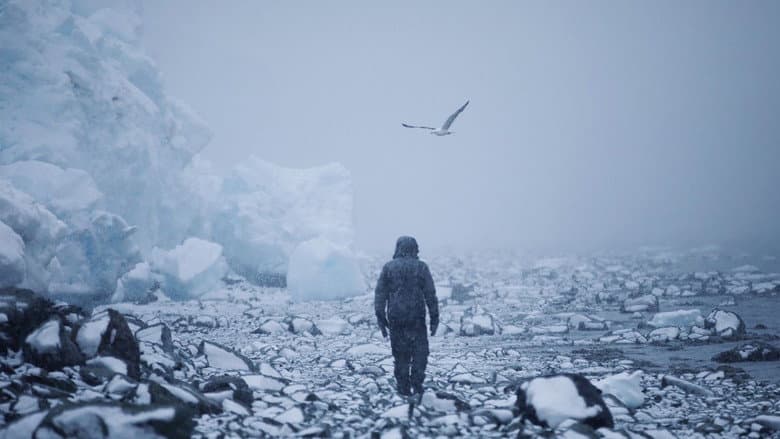 After Antarctica still