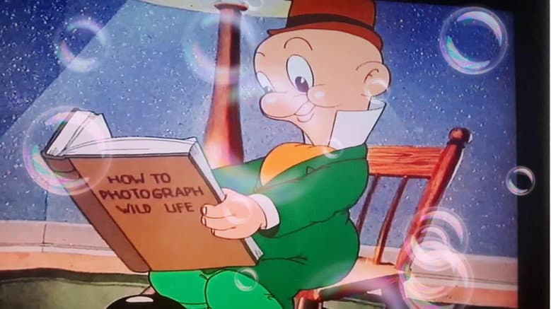 Looney Tunes Spotlight Collection: The Premiere Edition still
