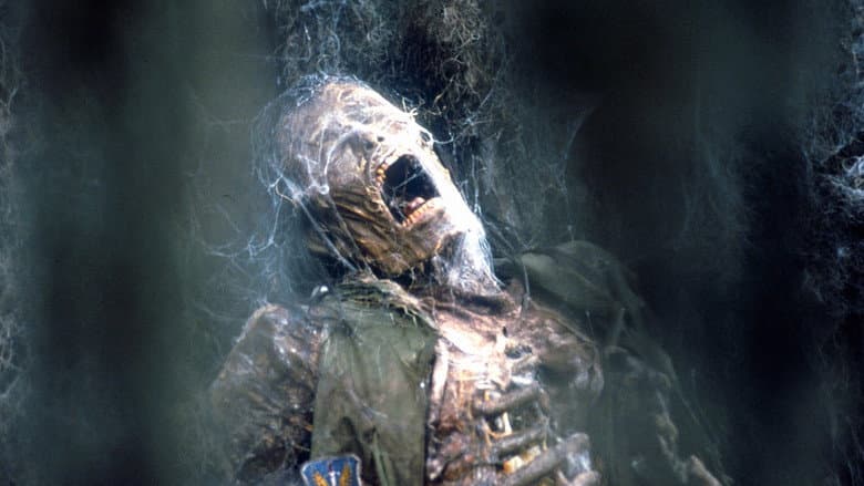 Arachnid still