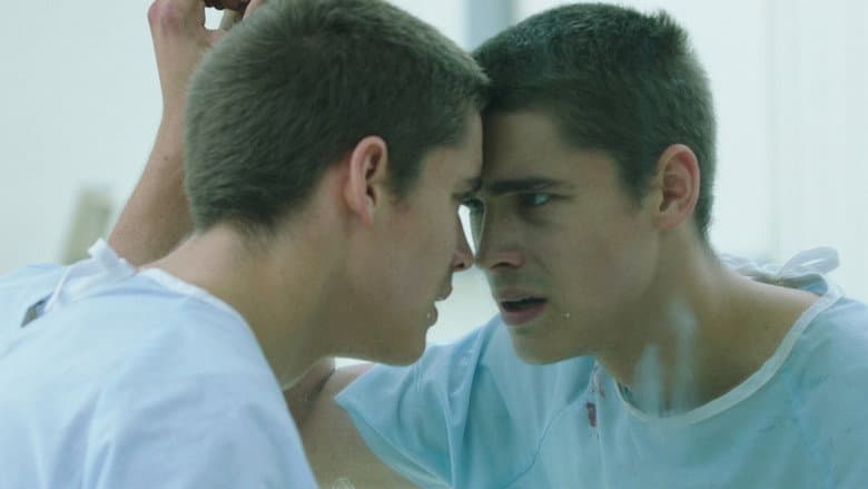 The Signal still