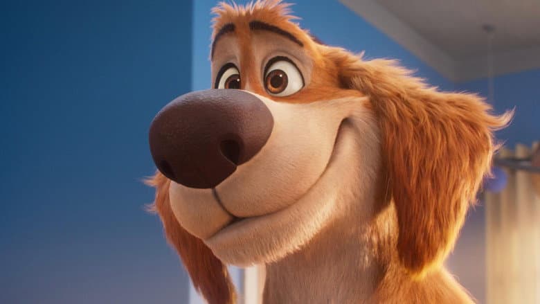 Charlie the Wonderdog still