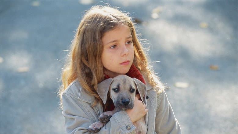 Chestnut: Hero of Central Park still