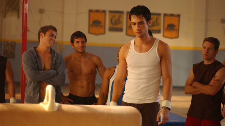 Peaceful Warrior still