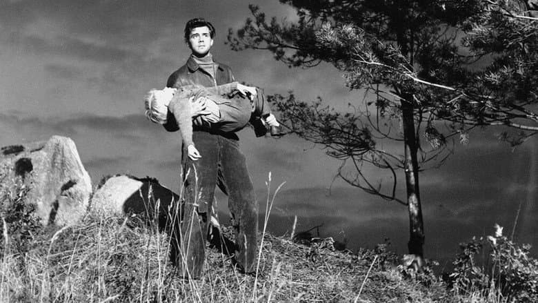 Hunted still