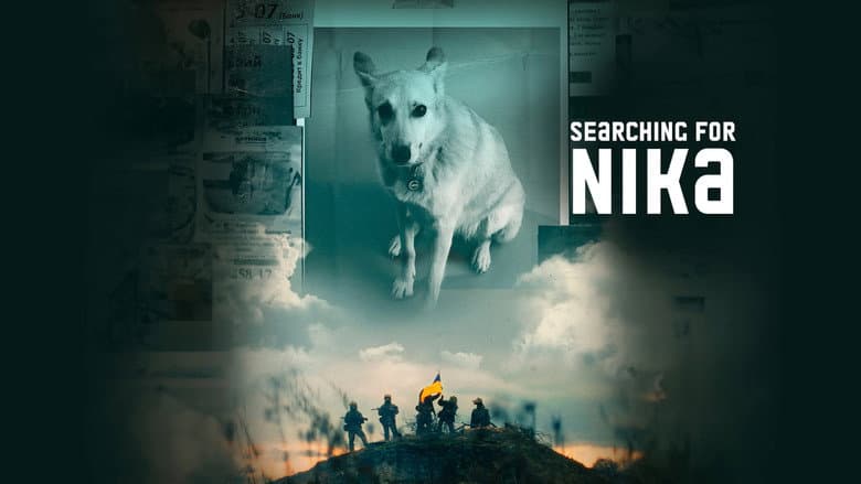 Searching for Nika still