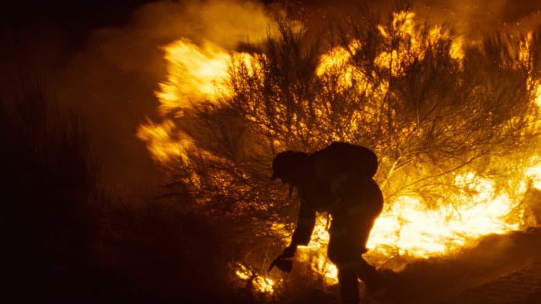 Fire Will Come still