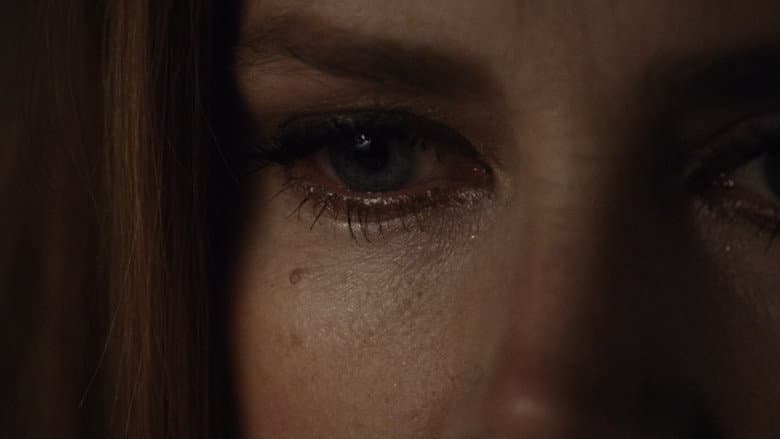 Nocturnal Animals still