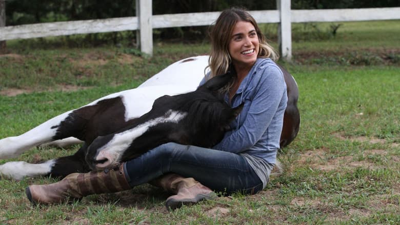 A Sunday Horse still