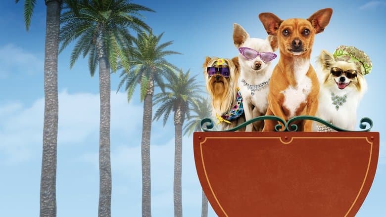 Beverly Hills Chihuahua still