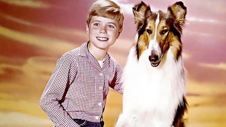 Lassie: The New Beginning still