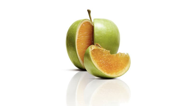 Freakonomics still