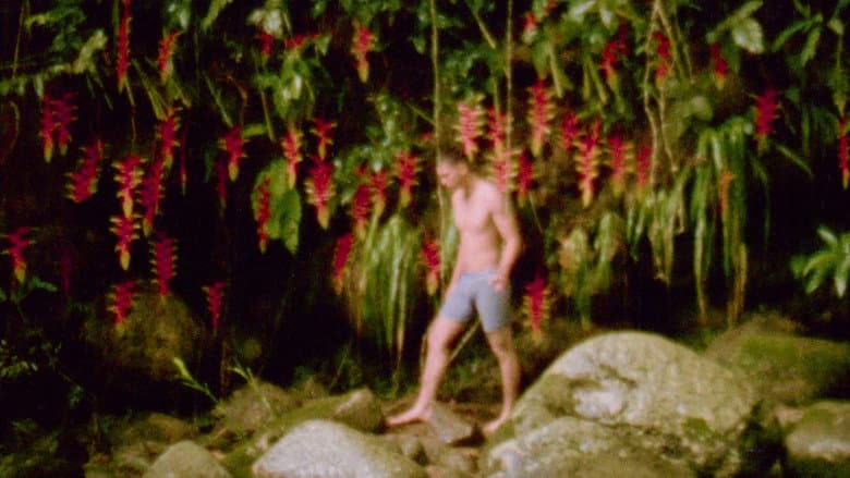 Heliconia still