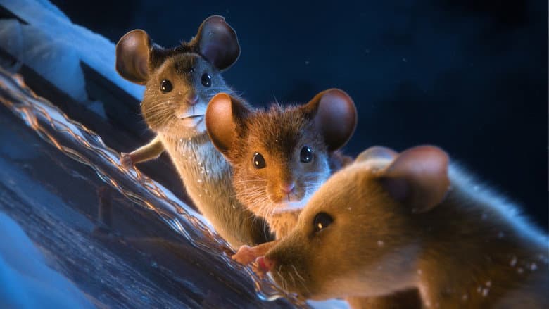 A Mouse Hunt for Christmas still