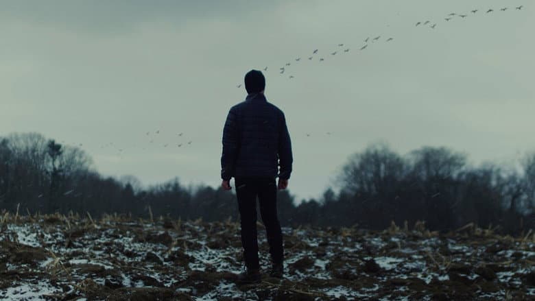Wolves still