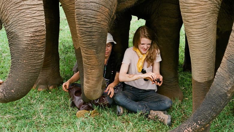 Love & Bananas: An Elephant Story still