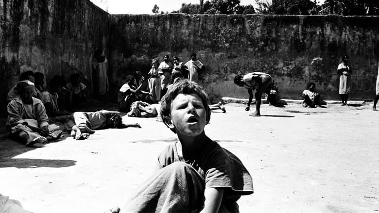 Brazilian Holocaust still