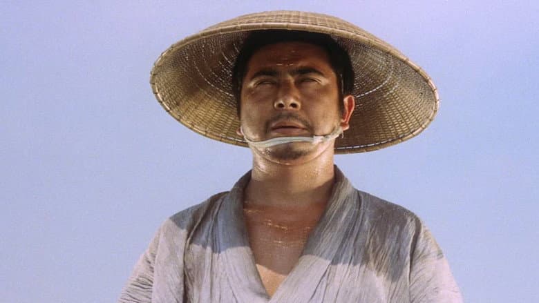 Zatoichi's Pilgrimage still