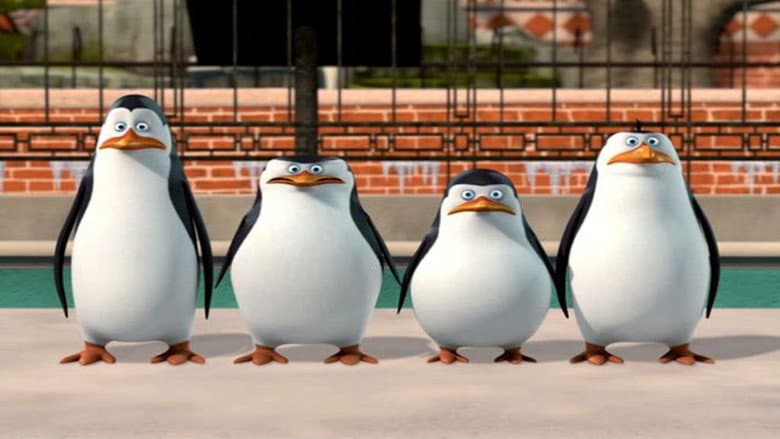 The Penguins of Madagascar: New to the Zoo still