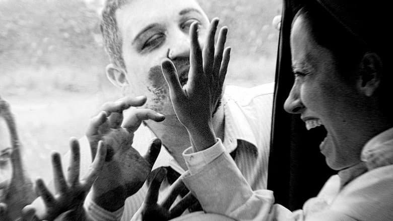 Zombies in the Sugar Cane Field: The Documentary still