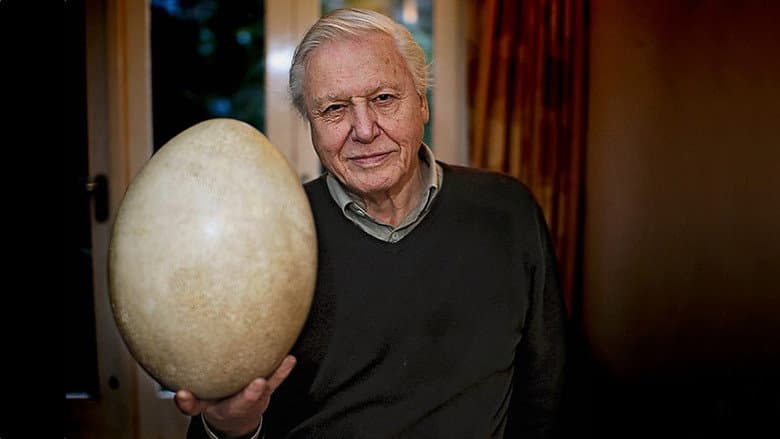 Attenborough and the Giant Egg still