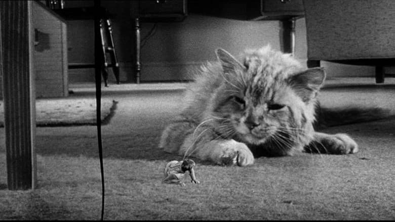 The Incredible Shrinking Man still