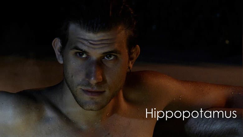 Hippopotamus still