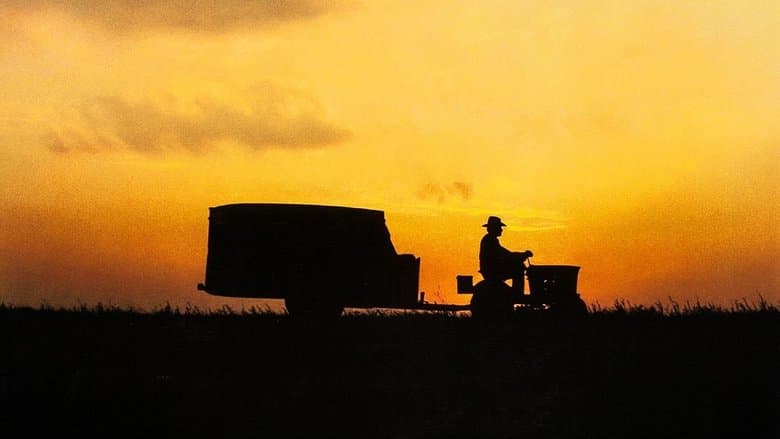 The Straight Story still