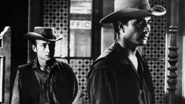 Fury at Showdown still