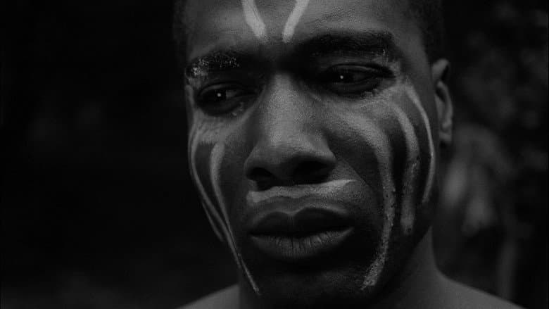 Curse of the Voodoo still