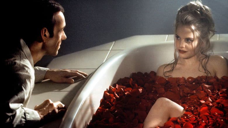 American Beauty still
