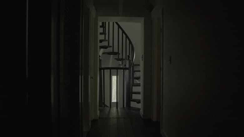 Light From the Tower still