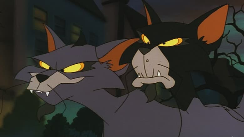 Felidae still
