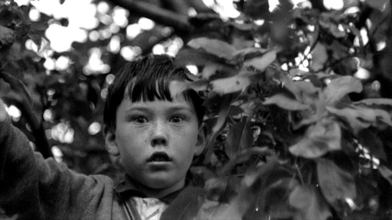 Arcadia still
