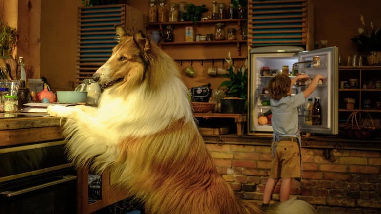 Lassie: A New Adventure still