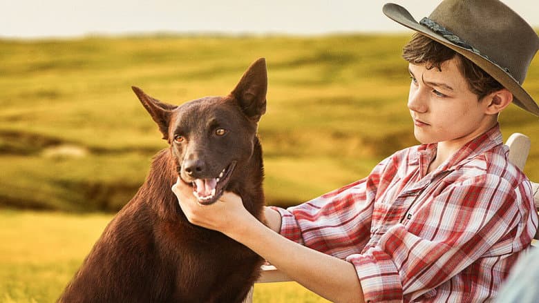 Red Dog: True Blue still