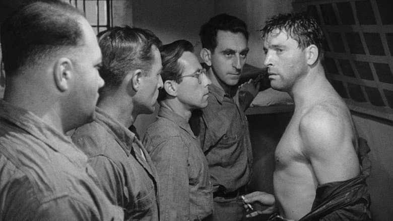 Brute Force still