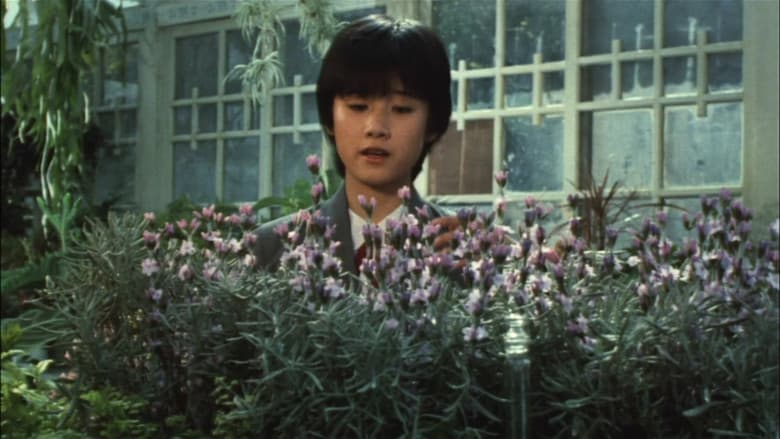 The Girl Who Leapt Through Time still