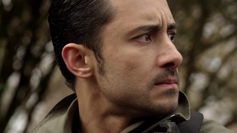 Mercenaries still