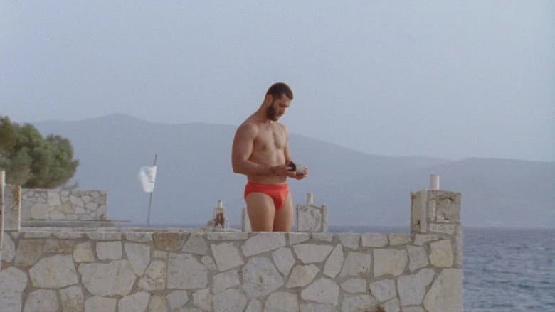 A King, Gazing at the Sea still